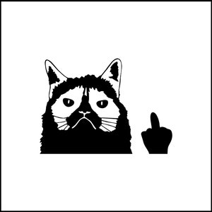 Grumpy Cat Giving The Middle Finger Vinyl Decal
