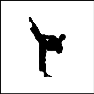 Karate Kickboxing Vinyl Decal