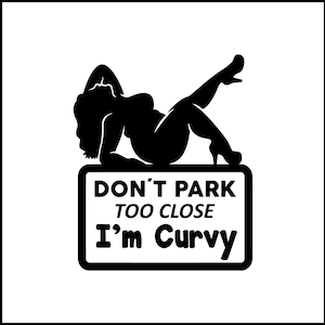 Don&#39;t Park Too Close I&#39;m Curvy Vinyl Decal