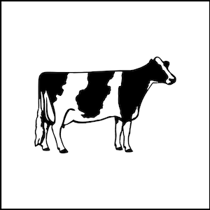 Cow/Dairy Cow Vinyl Decal