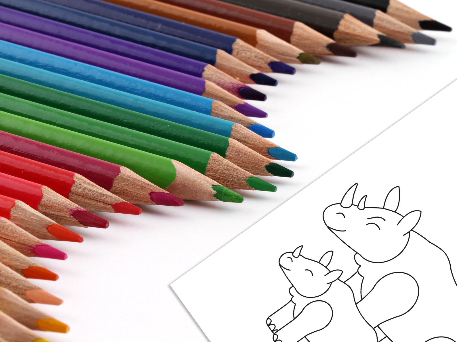 Cahier De Coloriage à Imprimer Jungle, Coloriage Pour Enfant