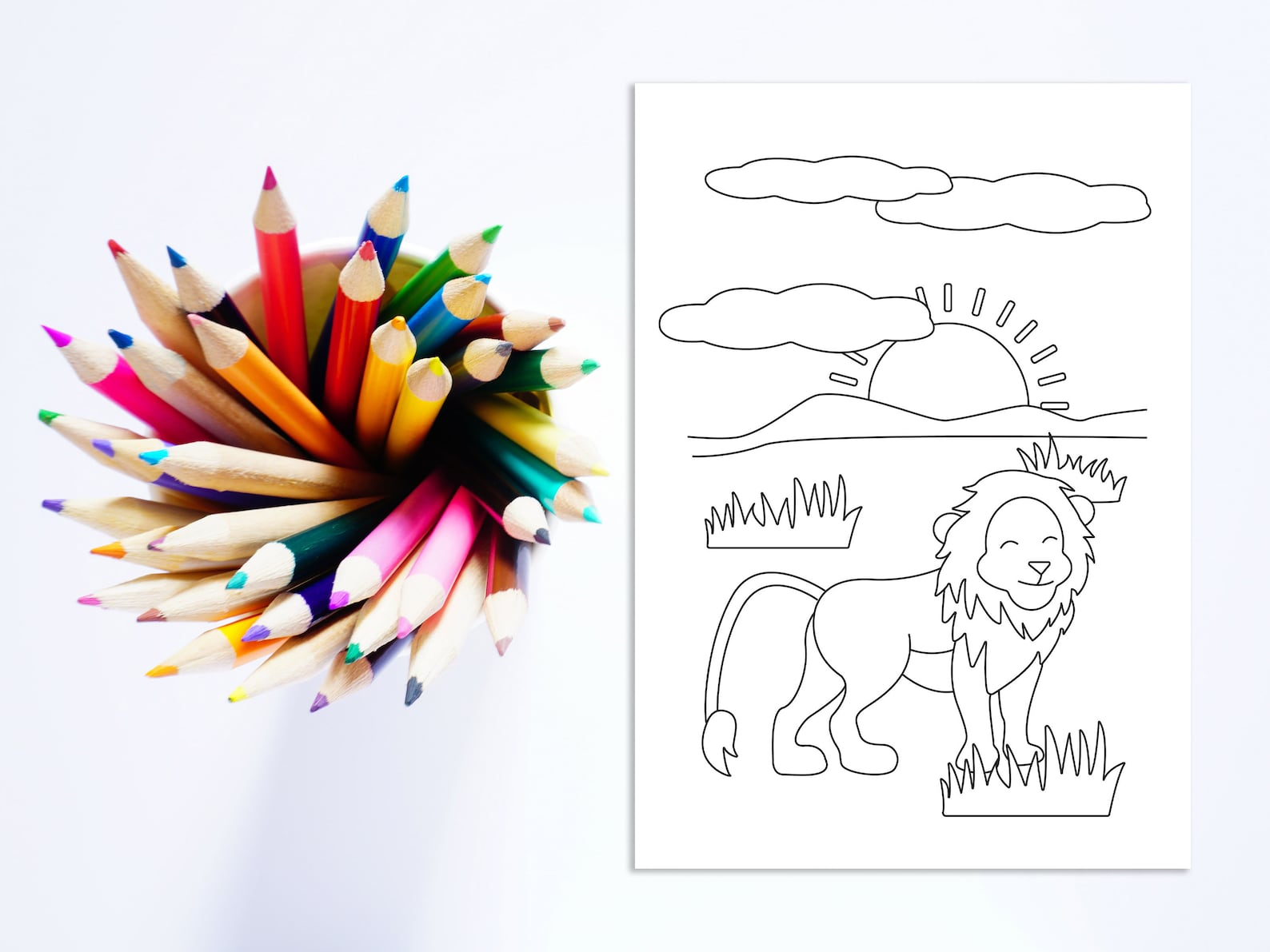 Cahier De Coloriage à Imprimer Jungle, Coloriage Pour Enfant