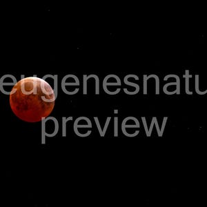 Maansverduistering met sterren - Bloedmaan 2025, VS