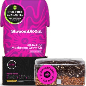 May include: An all-in-one mushroom grow kit with a pink and purple box and a clear plastic container. The box features the text "ShroomBloom" and "All-In-One Mushroom Grow Kit". The container is labeled "ShroomBloom Grow Kit" and contains a substrate.