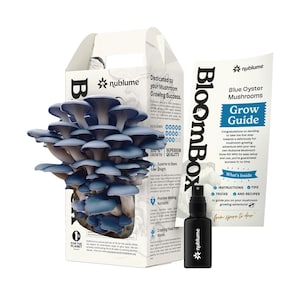 May include: A blue oyster mushroom grow kit with a box, a spray bottle, and a guide. The box features the text "BloomBox" and "Blue Oyster Mushrooms." The guide includes instructions, tips, tricks, and recipes. The spray bottle is black.