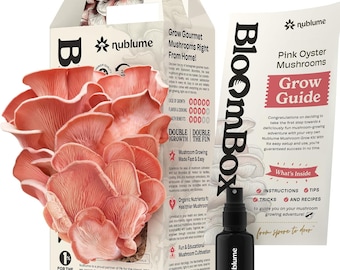 Pink Oyster Mushroom Grow Kit • Spray and Grow – Vibrant Gourmet Mushrooms • Easy Indoor Gift for Beginners, Foodies & Families