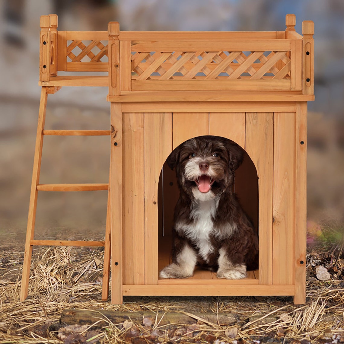 Wooden Dog House With Stairs and Raised Balcony for Puppy and Etsy