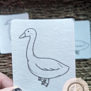 Stick & Stitch Silly Goose Embroidery Kit