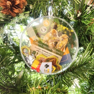 Ark Nova Handcrafted Board Game Ornament