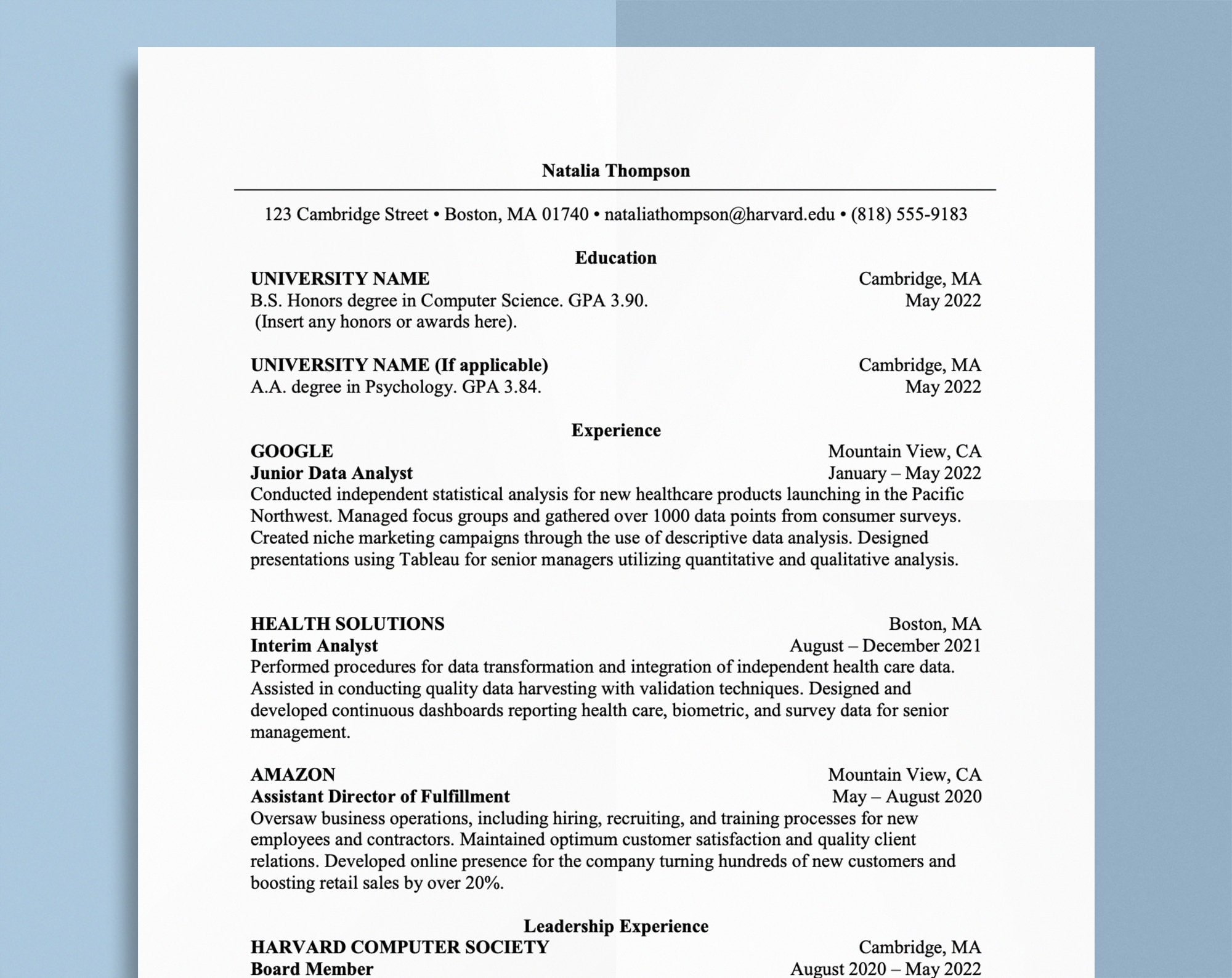 harvard marketing resume template