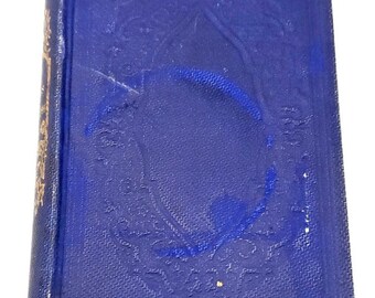 Raccolta di poesie antiche di Edgar Allan Poe del 1863, completa di memorie di W.J. Widdleton Raven.