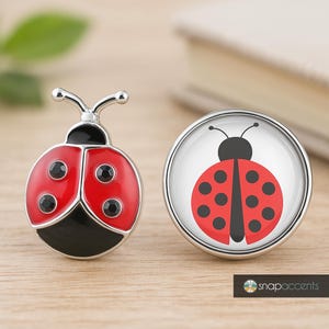 Ladybug Snap Jewelry Ginger Charm, 18MM Red Black Insect Bug Button, Fits Girls Customizable Bracelets, Necklaces, Keychains, Rings