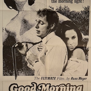 Good Morning and Goodbye-Russ Meyer (1964) Original One Sheet Movie Poster (Not a reproduction)
