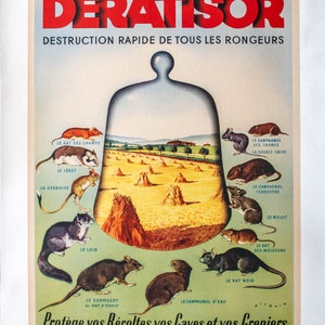 Deratisor by Wilquin-Original Circa 1930 French Stone Lithograph-Linen Backed