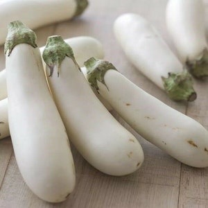 50Pcs White Long Eggplant Seed Solsnum Melongena Vegetable Seeds