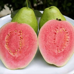 Puede incluir: Dos mitades de una fruta de guayaba rosa con semillas blancas, junto a una guayaba verde entera.