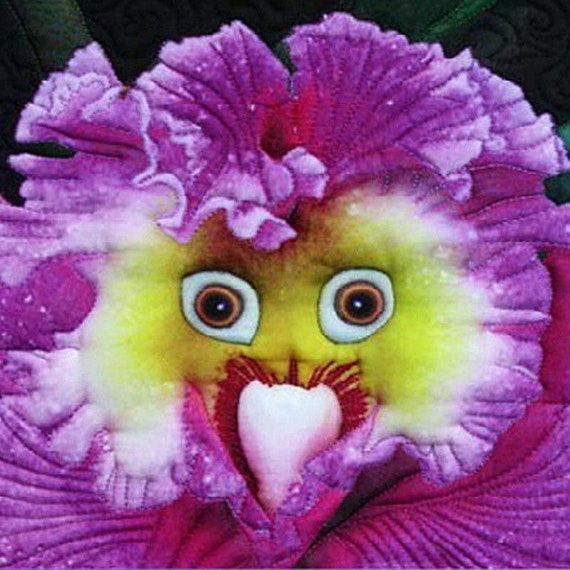 Rara cara de bebé Orquídea Flor perenne 50PCS Semillas 9412 - Etsy México