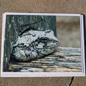 Wildlife Foto Wenskaarten