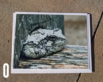 Cartes de vœux de photographie animalière