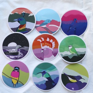 May include: Set of 10 round stickers featuring colorful illustrations of birds. The stickers feature a variety of bird species, including a loon, a parrot, a hummingbird, and a kingfisher. The stickers are perfect for adding a touch of whimsy to your laptop, water bottle, or planner.