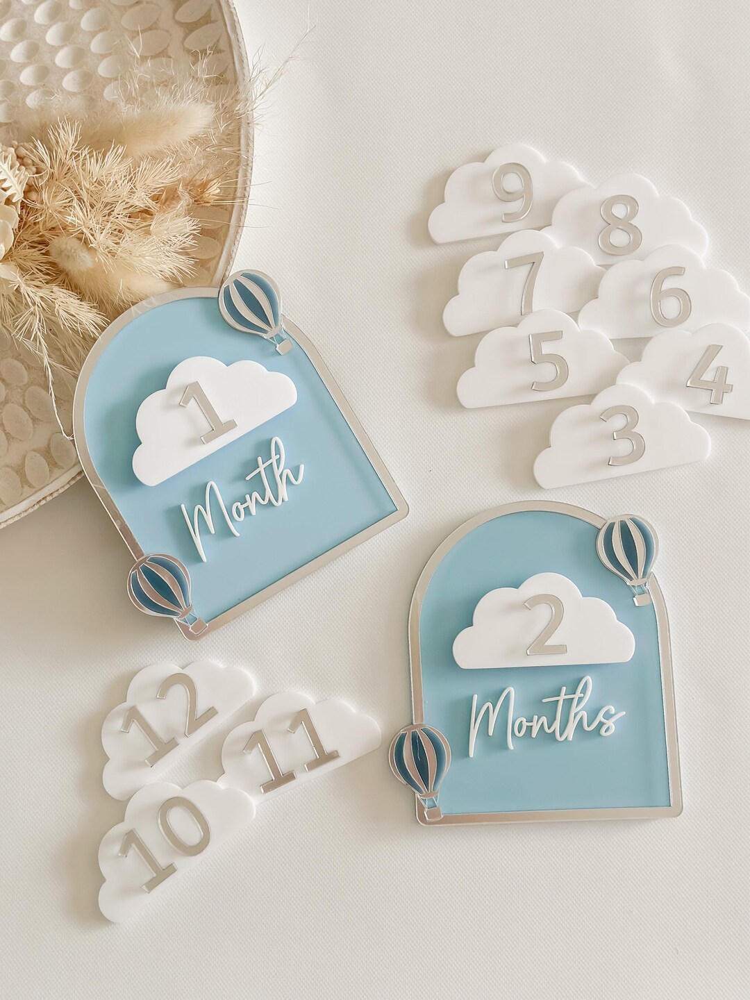 Hot Air Balloon Baby Milestone Discs: Photo Prop Set - Etsy
