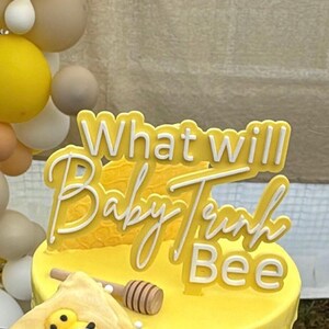 Gender reveal cake topper / what will baby be cake topper