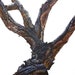 Fine Art Tree Print | Mounted Canvas Print | Wall Art | Home Decor ...