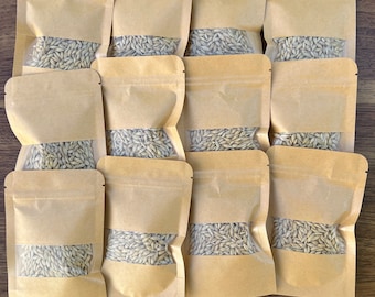 Organisk kattgräsfröblandning 140 g kit