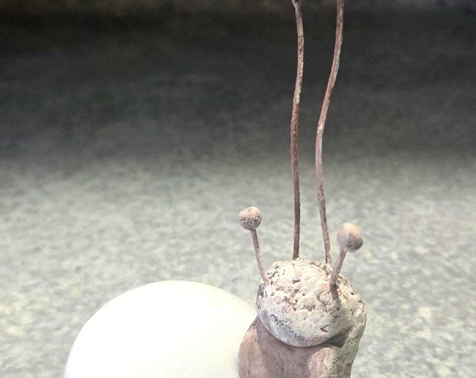 Happy little Brown Snail with a natural white Shell
