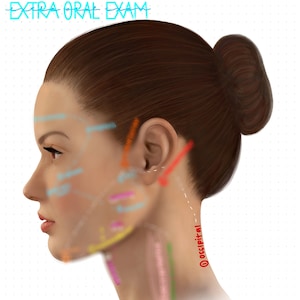 May include: A side profile illustration of a woman's head and neck, with various areas highlighted in different colours. The text "EXTRA ORAL EXAM" is written in blue at the top of the image. The text "occipital" is written in red on the back of the neck.