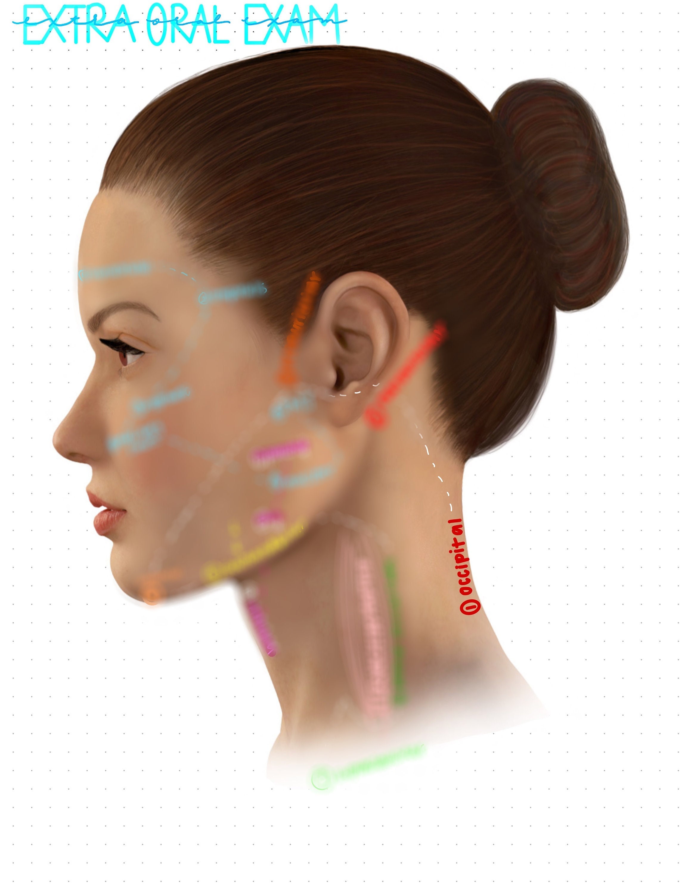 EOIO Exam intra Oral Extra Oral Exam Dental Hygiene Notes for Preclinic