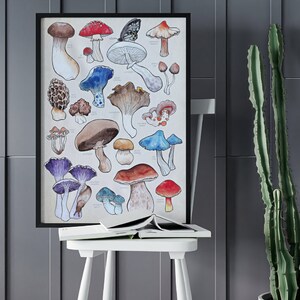 Poster, offered in various sizes, picturing a watercolor drawing of 18 different kinds of mushrooms, along with their names. Also painted into the picture are a snail and a butterfly.