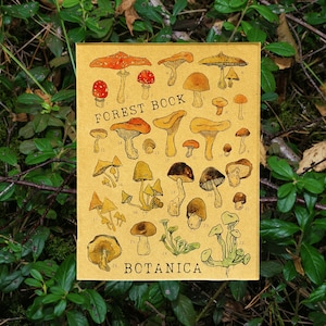 Pocket-Size Mushroom Journal, Foraging Mushrooms Nature Journal, Mushroom Foraging Book, Mushroom Hunting Notebook, Fungi Foraging Log