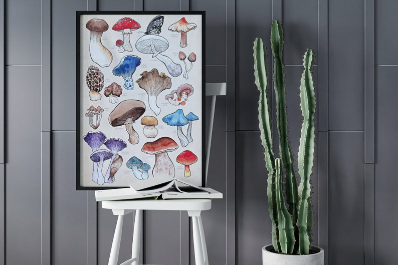 Poster, offered in various sizes, picturing a watercolor drawing of 18 different kinds of mushrooms, along with their names. Also painted into the picture are a snail and a butterfly.