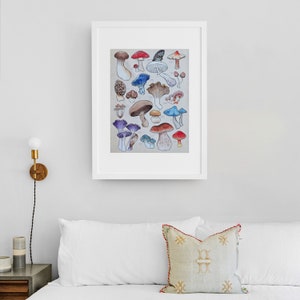 Poster, offered in various sizes, picturing a watercolor drawing of 18 different kinds of mushrooms, along with their names. Also painted into the picture are a snail and a butterfly.