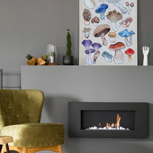 Poster, offered in various sizes, picturing a watercolor drawing of 18 different kinds of mushrooms, along with their names. Also painted into the picture are a snail and a butterfly.