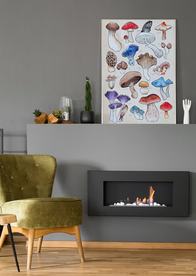 Poster, offered in various sizes, picturing a watercolor drawing of 18 different kinds of mushrooms, along with their names. Also painted into the picture are a snail and a butterfly.