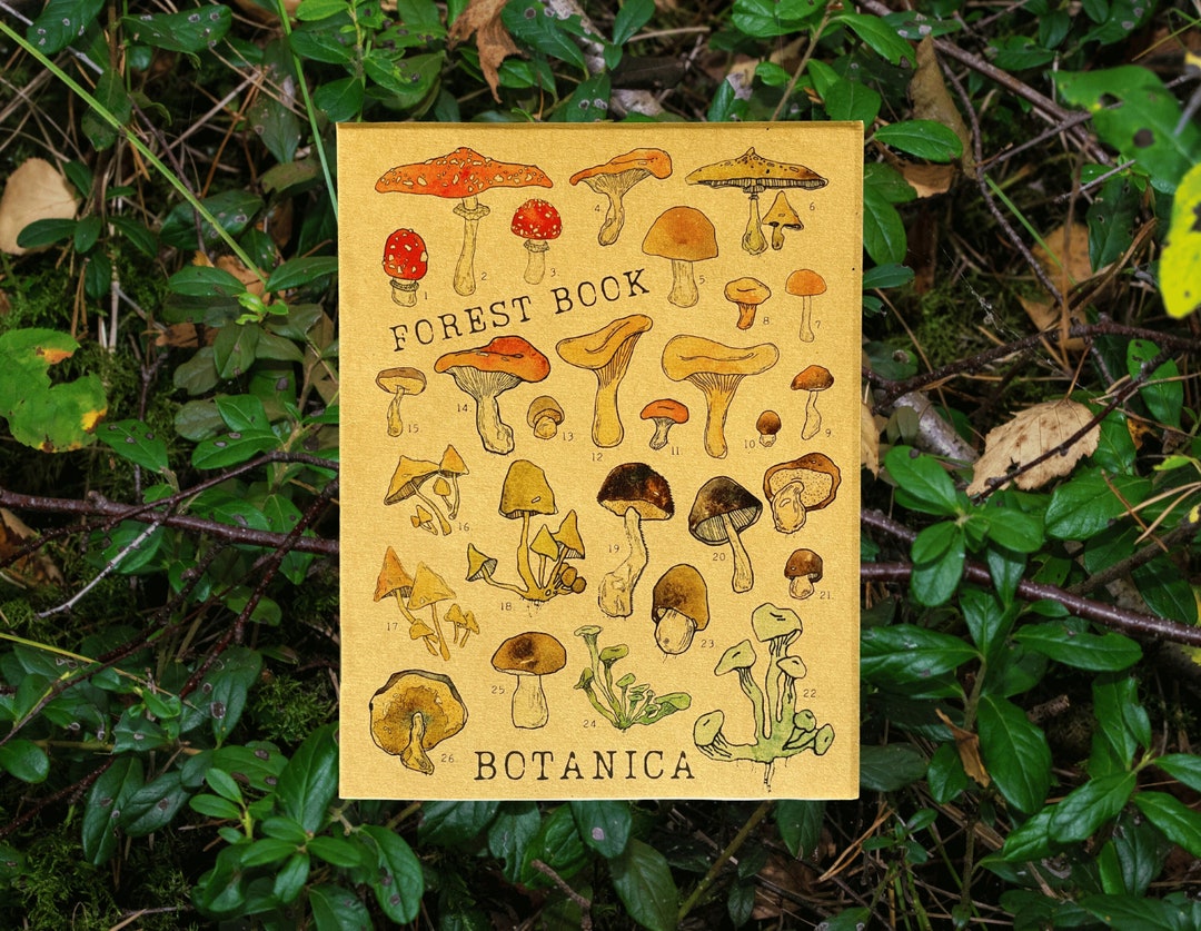Pocketsize Mushroom Journal, Foraging Mushrooms Nature Journal