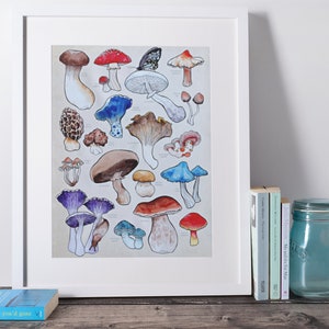 Poster, offered in various sizes, picturing a watercolor drawing of 18 different kinds of mushrooms, along with their names. Also painted into the picture are a snail and a butterfly.
