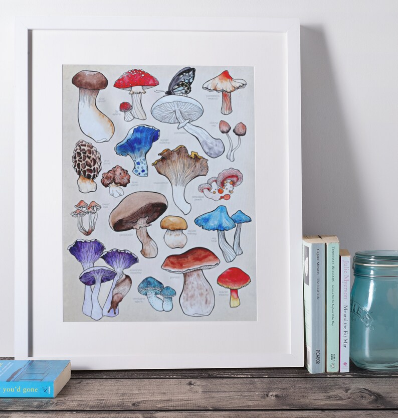 Poster, offered in various sizes, picturing a watercolor drawing of 18 different kinds of mushrooms, along with their names. Also painted into the picture are a snail and a butterfly.