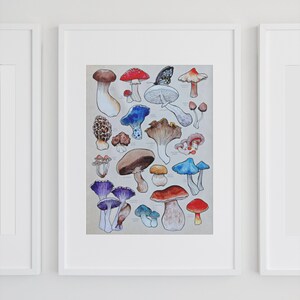 Poster, offered in various sizes, picturing a watercolor drawing of 18 different kinds of mushrooms, along with their names. Also painted into the picture are a snail and a butterfly.