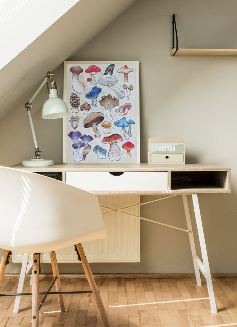 Poster, offered in various sizes, picturing a watercolor drawing of 18 different kinds of mushrooms, along with their names. Also painted into the picture are a snail and a butterfly.