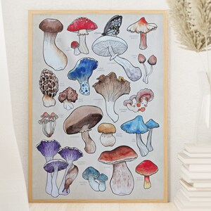 Poster, offered in various sizes, picturing a watercolor drawing of 18 different kinds of mushrooms, along with their names. Also painted into the picture are a snail and a butterfly.