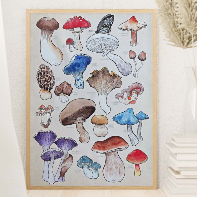 Poster, offered in various sizes, picturing a watercolor drawing of 18 different kinds of mushrooms, along with their names. Also painted into the picture are a snail and a butterfly.