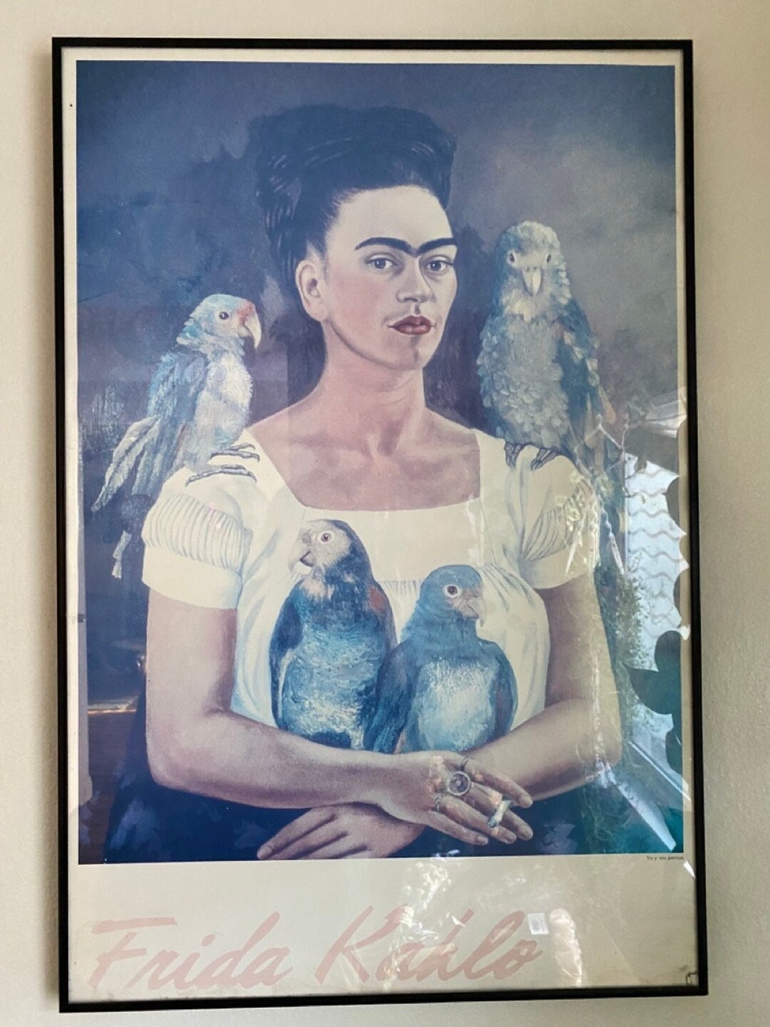 Frida Kahlo Yo Y Mis Pericos Framed Poster - Etsy