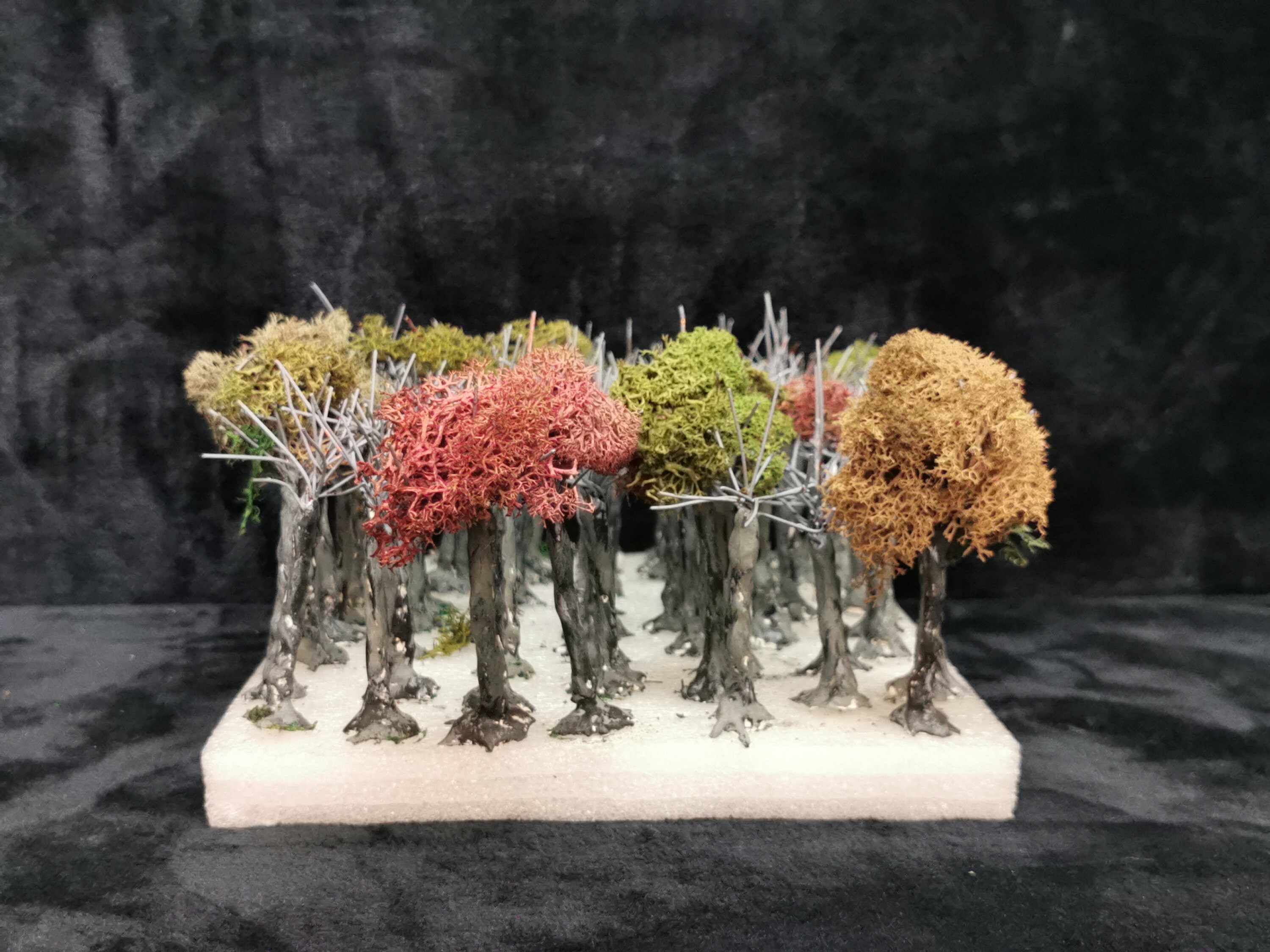 DIY Plaster Tree Bases: Model Train Scenery (lot of 50+, 4-inch) - Etsy