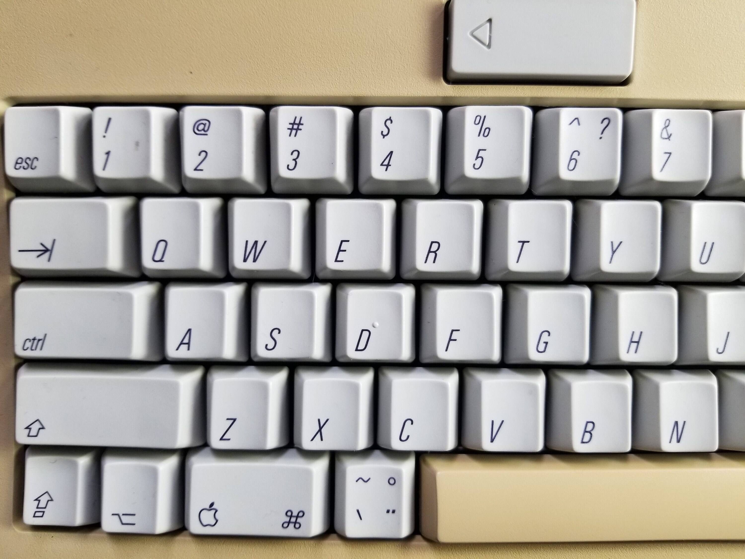 Vintage Apple Computer Inc. Keyboard M0116C Tested Working - Etsy