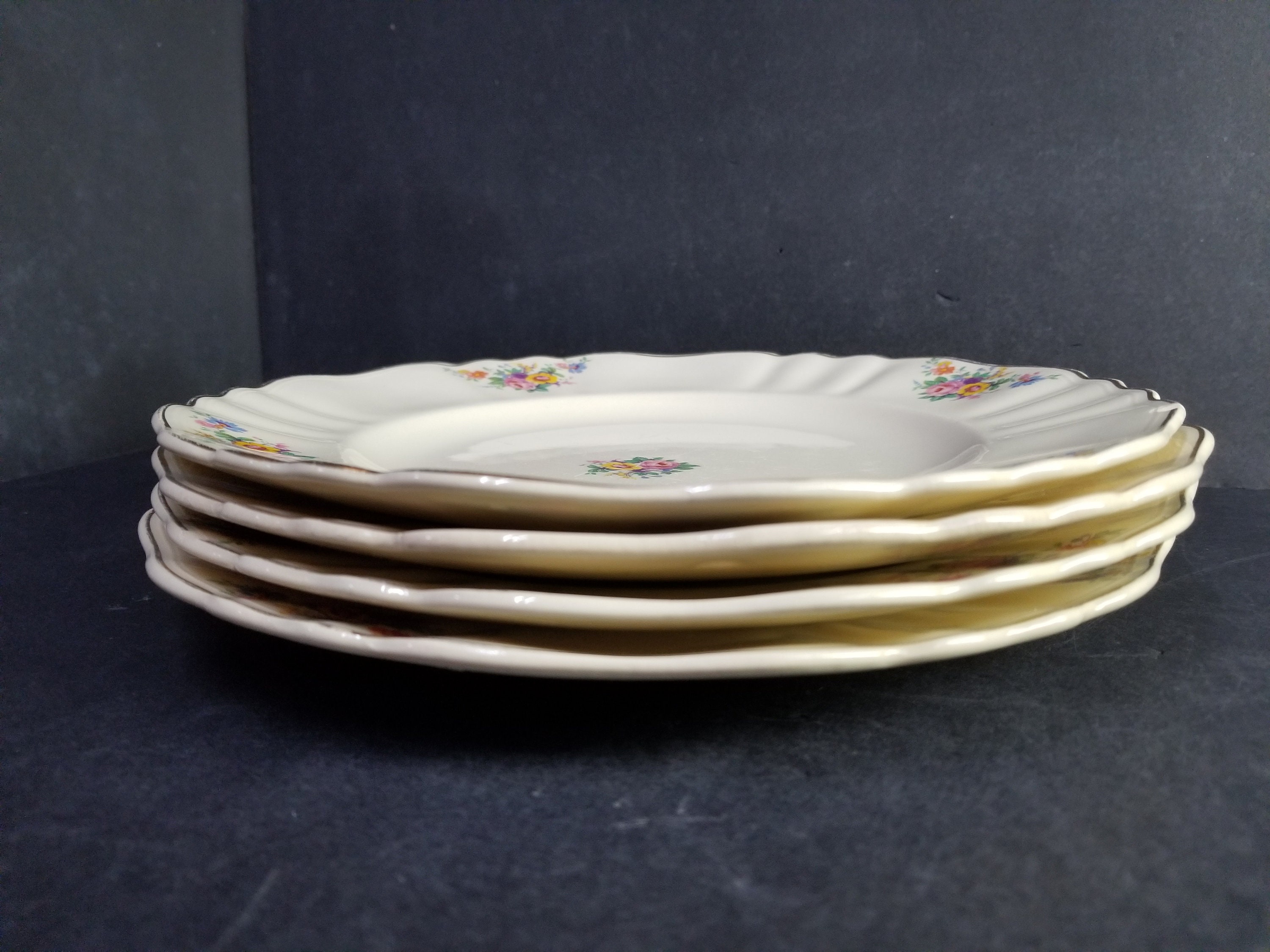 4 assiettes à dîner vintage J&G Meakin Studio Topic Design