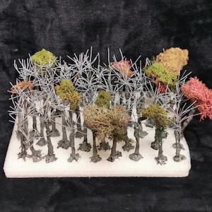 Può includere: Una collezione di alberi in miniatura con fogliame verde, marrone e rosso. Gli alberi sono disposti in fila su una base di schiuma bianca.