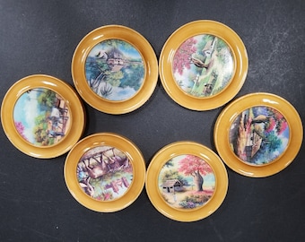 Vintage 1960s Wooden Coaster with Case Set of 6